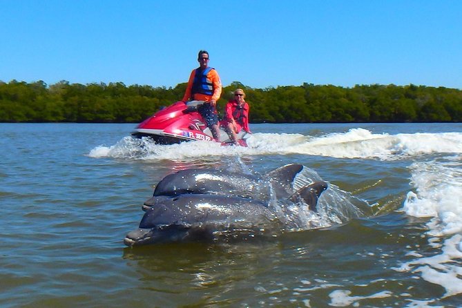 Avis Premium Dolphin Tour by Jet Ski - Key Points
