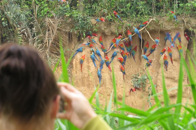 Best of Tambopata 3 Nights by Junglepro - Key Points