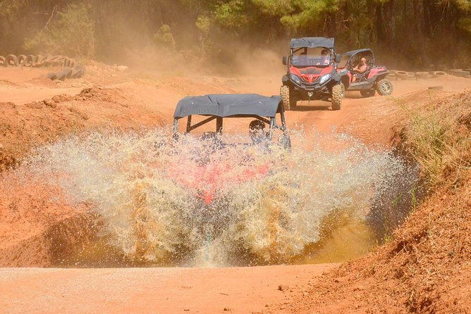 Buggy Safari - Key Points