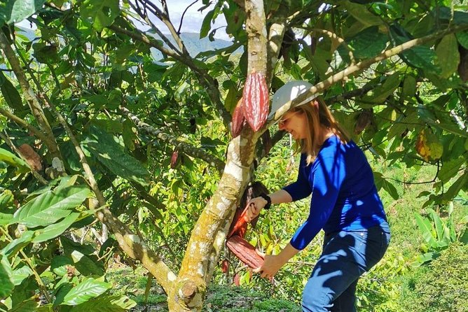 Chocolate Farm Private Tour in Medellin: Real Genuine Experience - Key Points