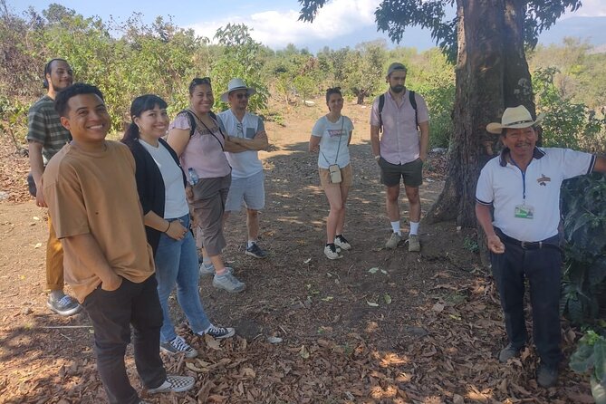 Coffee Tour - Overview of the Coffee Tour