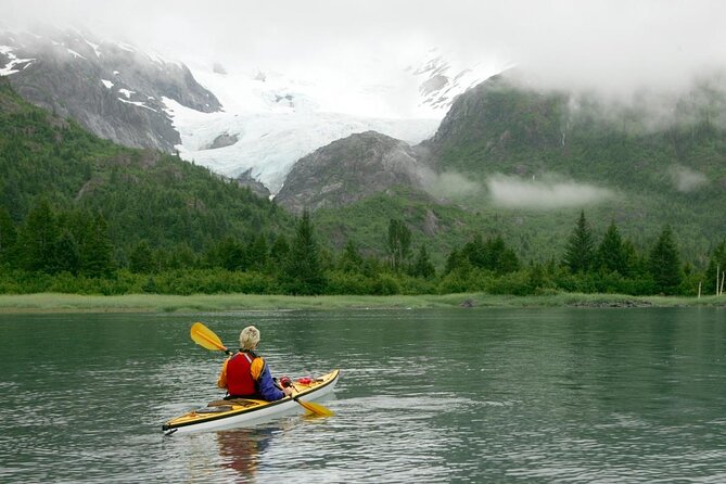 Columbia Glacier Cruise From Valdez - Key Points