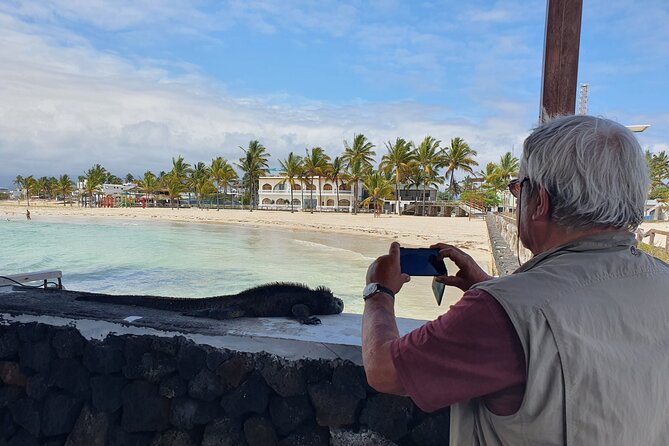 Day Tour to Isabela Island With Tintorera Islet, Snorkeling Wetlands & Flamingos - Tour Overview