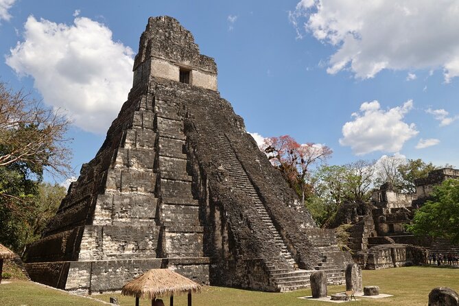 Day Trip to Tikal Maya Ruins Including Lunch - Overview and Highlights
