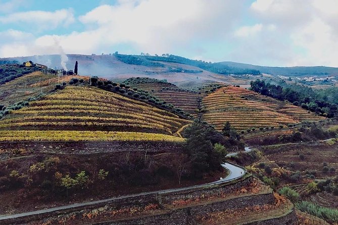 Douro Valley and Amarante Small Group Wine Tour From Porto - Key Points