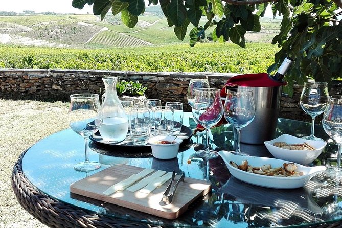 Douro Valley Private Tour (All Inclusive) Port Tasting and Lunch - Key Points