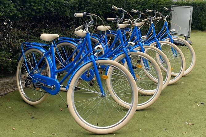 Dublin Full Day Bike Rental - Overview and Highlights