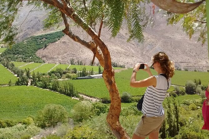 Elqui Valley Tour: Full Day History and Flavors - Tour Overview