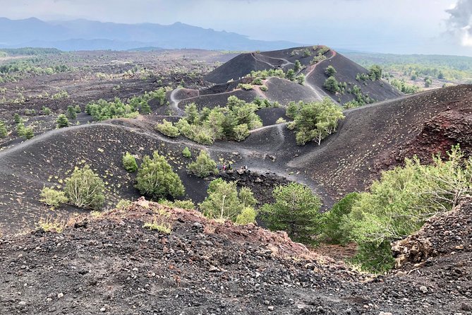 Etna, Wine and Alcantara Tour - From Taormina - Key Points