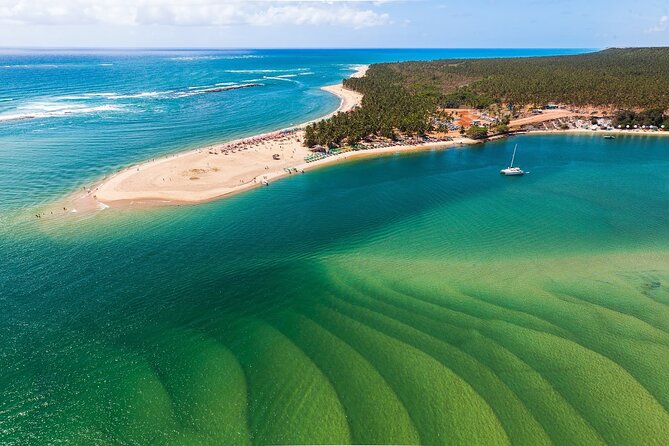 Excursion to Praia Do Gunga With Luck Receptivo Maceió - Key Points