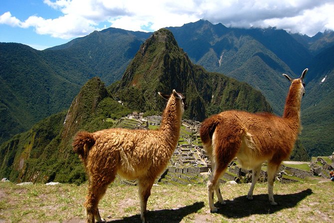 Full Day Machupicchu Tour (Small Group) - Itinerary Details