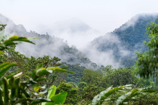 Full Day Mindo Cloud Forest (Tailor-Made Tour) - Key Points