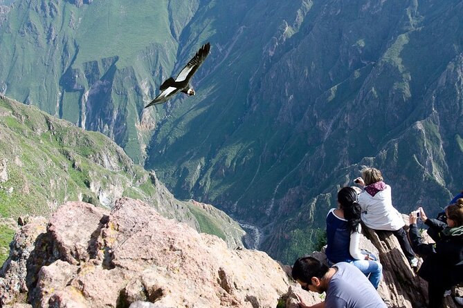 Full Day Tour to Colca From Arequipa - Key Points