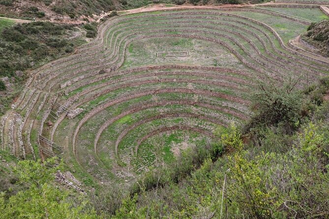 Full Day:Sacred Valley,Alpaca Farm,Maras,Moray and Ollantaytambo - Sacred Valley Tour