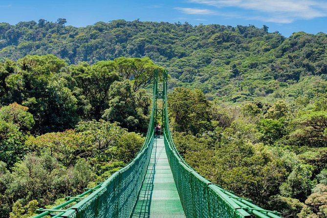 Full Monteverde Cloud Forest Experience With Ziplining. - Key Points