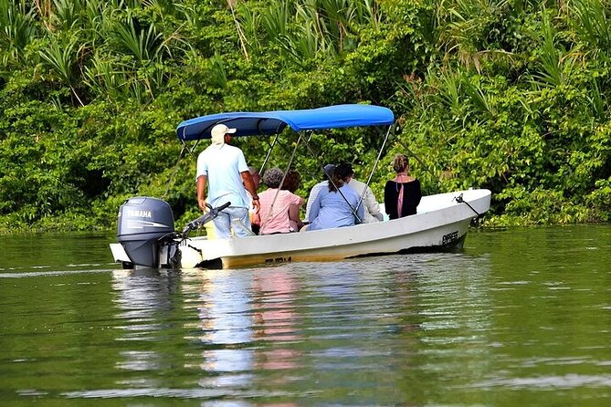 Guided Jungle Adventure With Gatun Lake Cruise - Key Points