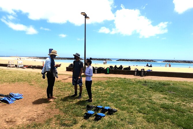 Guided Snorkel Tour for Beginners in Honolulu - Experience Highlights