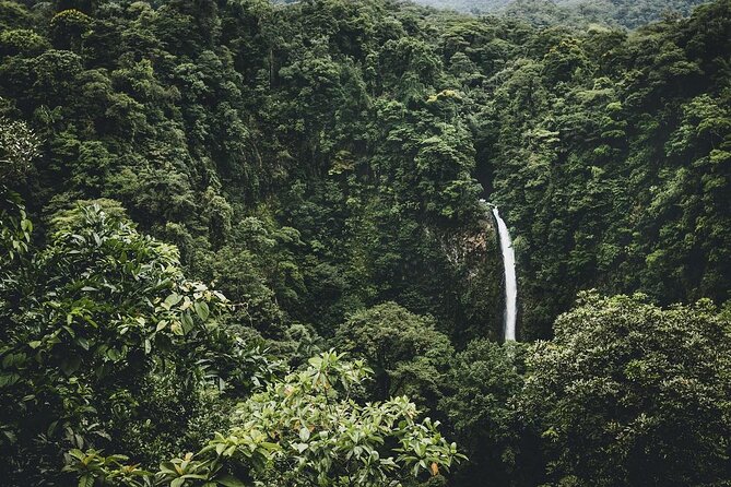 Half-Day Tour With La Fortuna Waterfall and Arenal Volcano Hike - Key Points