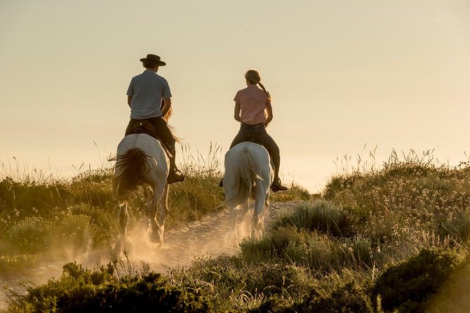 Horse Riding on the Beach - Key Points