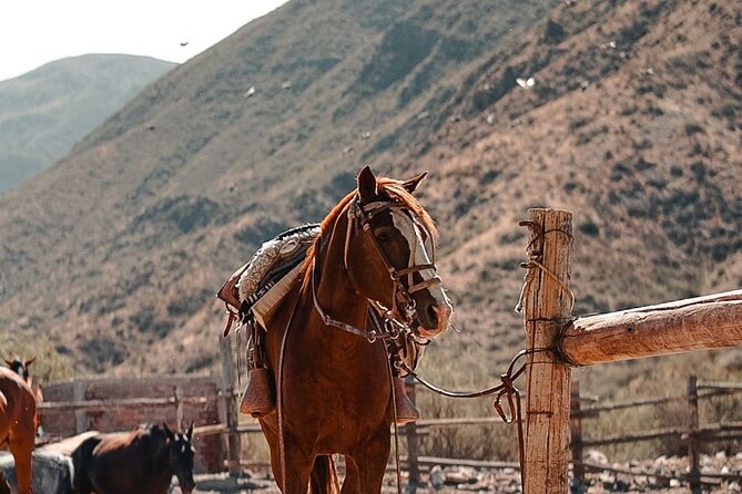 Horseback Riding at Sunset - Overview and Details