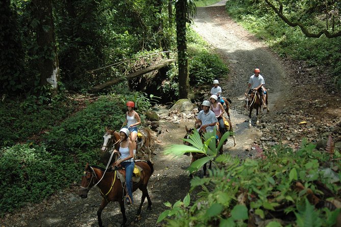 Horseback Riding Through the Jungle - Overview of the Horseback Riding Tour