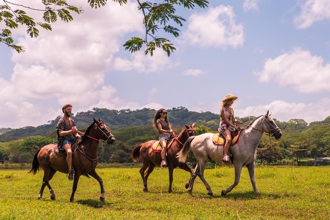Horseback Riding to Conchal Beach From Tamarindo & Flamingo - Key Points