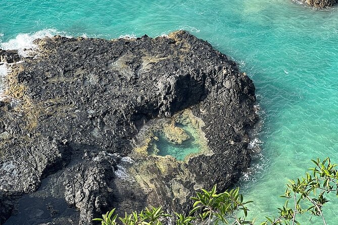 ILHA TOUR Complete TOUR in Fernando De Noronha - Inclusions