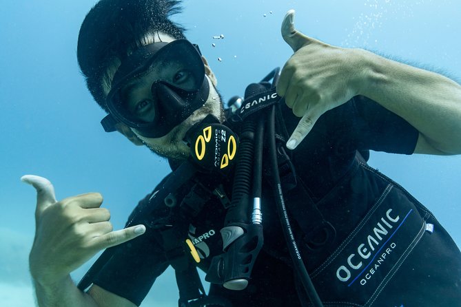 Incredibly Fun 2-Tank Coral Reef South Shore Boat Dive in Oahu From Waikiki - Overview of the Dive Experience