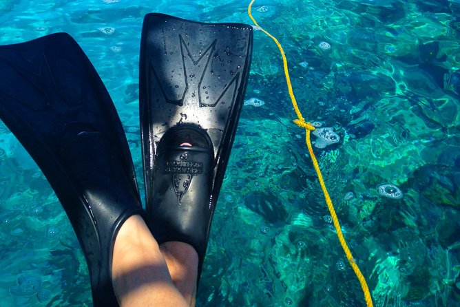 Key West Reef Snorkel & Sail Adventure - Overview of the Experience