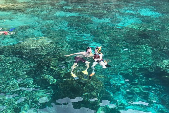 Kona Snorkeling: Beat the Crowd to Kealakekua Bay - Key Points