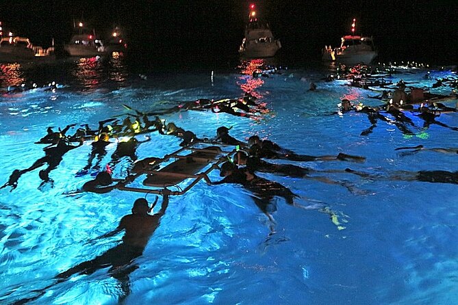 Konas Magical Manta Ray Night Snorkel: Small-Group Eco-Tour - Key Points