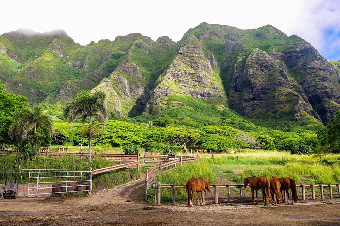 Kualoa Ranch - Zipline Tour - Key Points
