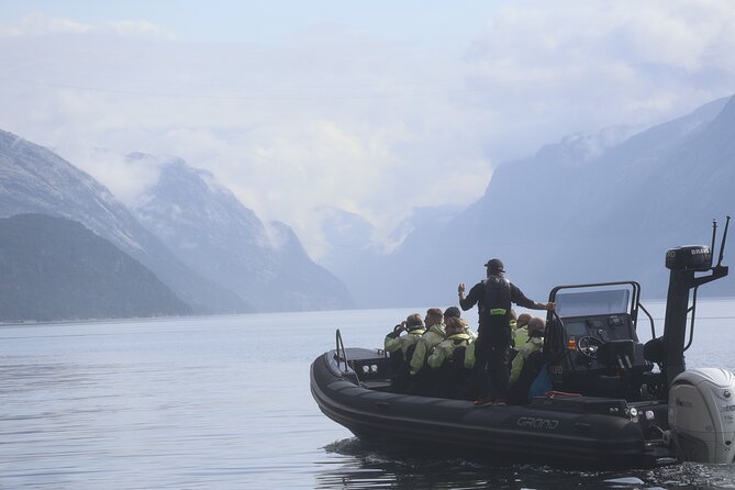 Lysefjord RIB Safari From Stavanger - Key Points