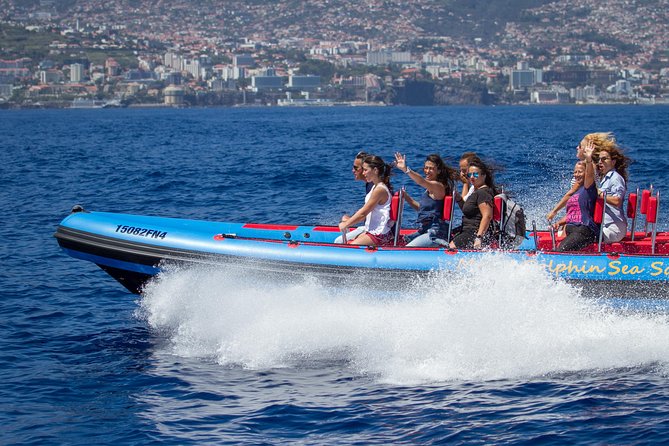 Magic Dolphin Sea Safaris - Key Points