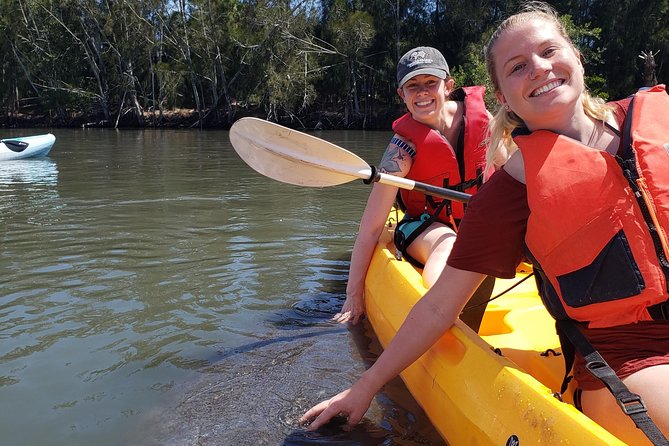 Manatee and Dolphin Kayaking | Haulover Canal (Titusville) - Key Points