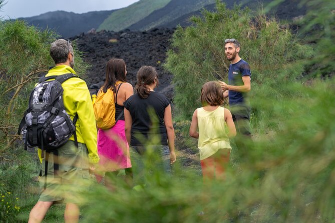 Mt. Etna Nature and Flavors Half Day Tour From Catania - Key Points