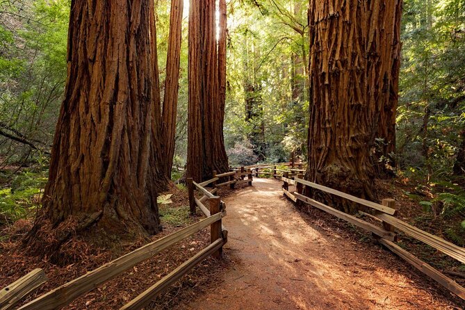 Muir Woods and Sausalito Morning Tour Small-Group Half Day - Key Points