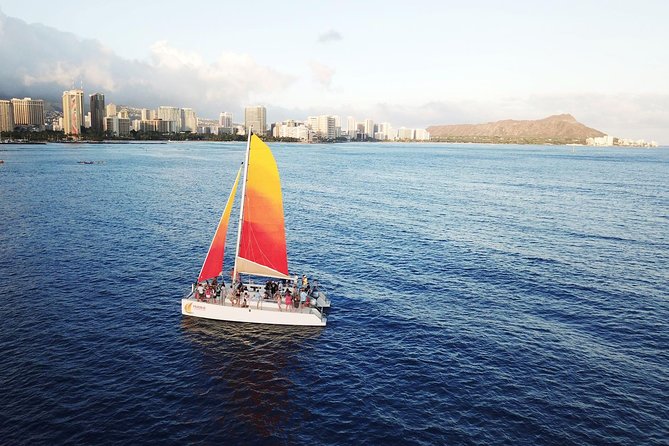 Oahu 3pm Whale Watching From Honolulu - Key Points