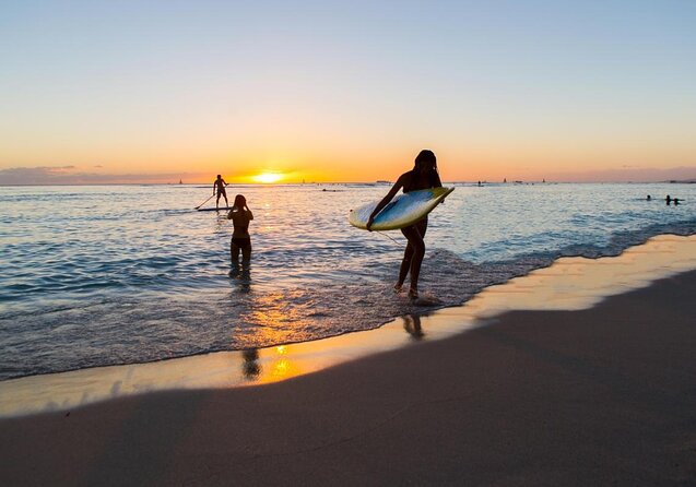 Oahu Catamaran Snorkel: See Turtles Guaranteed - Key Points