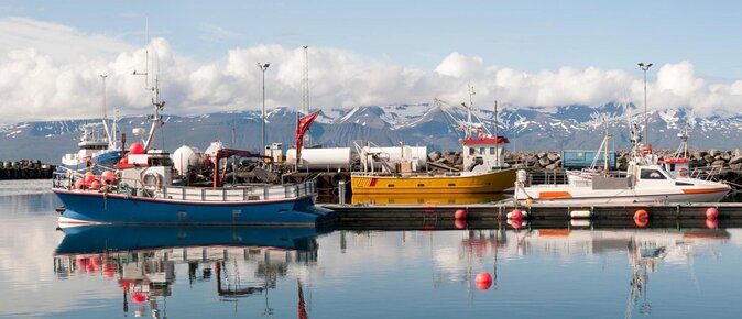 Original Big Whale Safari and Puffins RIB Boat Tour From Húsavík - Key Points