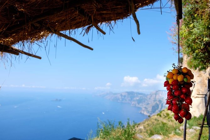 Path of the Gods Day Guided Tour With Free Transfer From Sorrento - Key Points