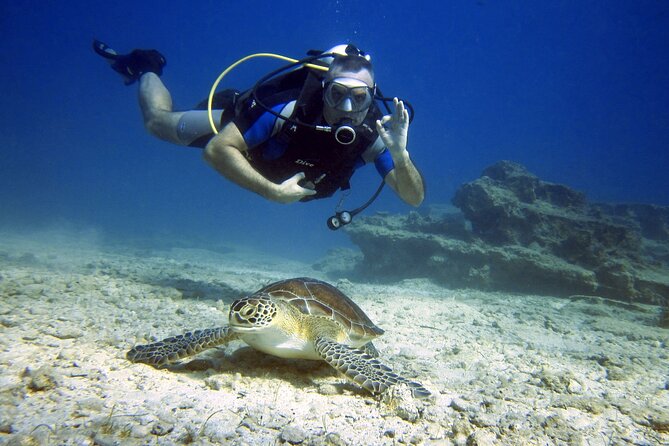 Private Discovery Dive + Photos & Videos - Key Points