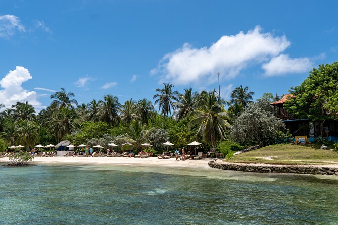 Private Full Day Tour 5 Spots Rosario Islands - Itinerary and Activities