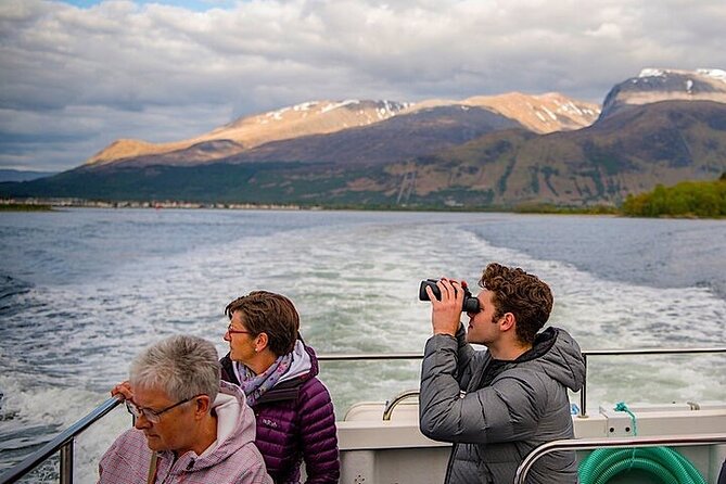 Seal Island Cruise Tour - Key Points