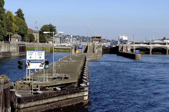 Seattle Locks Cruise - Key Points