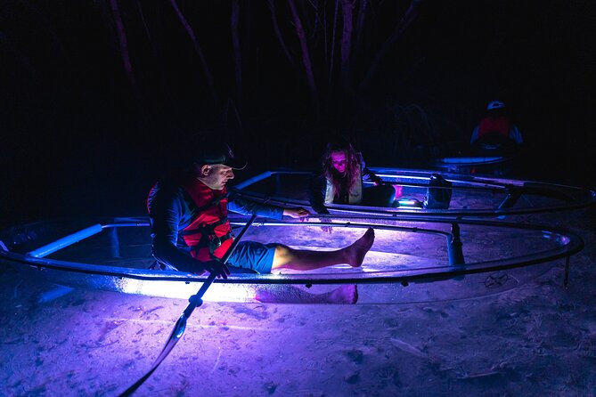 Shell Key Clear Kayak Sunset & Glow Tours - Key Points