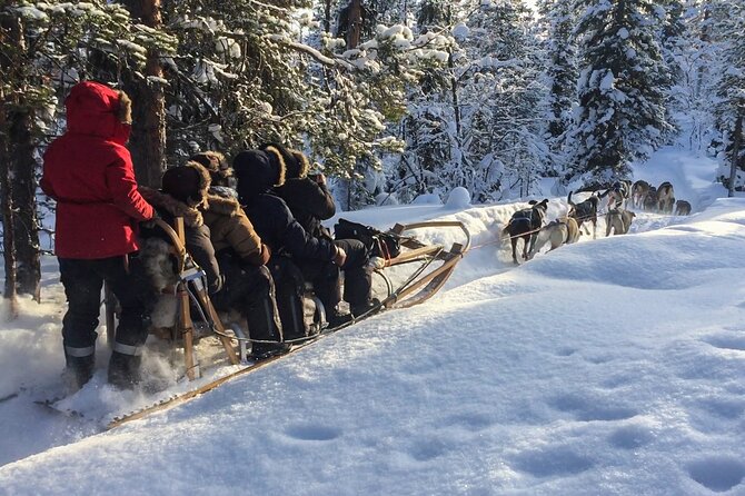 Sit Down Husky Ride Dog Sled Tour in Kiruna - Key Points