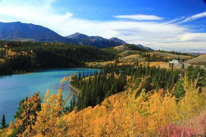 Skagway Shore Excursion: Yukon Discovery Tour - Key Points