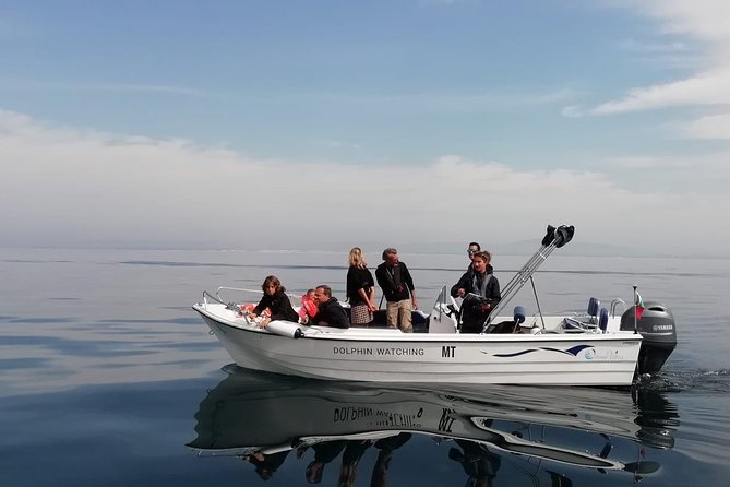 Small Group Dolphin and Wildlife Watching Tour in Faro - Key Points