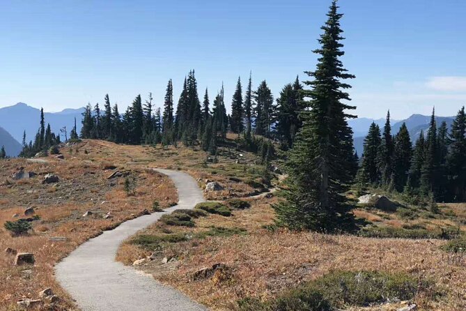 Small Group Mt Rainier National Park Day Tour From Seattle 2CANGO - Key Points
